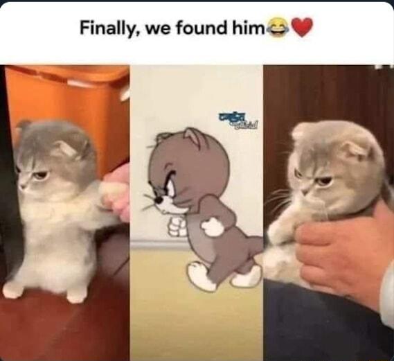 Finally we found him