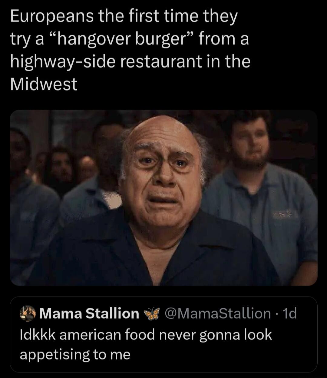 Europeans the first time they try a hangover burger from a highway side restaurant in the Midwest Mama Stallion VamaStallion 1d Idkkk american food never gonna look appetising to me