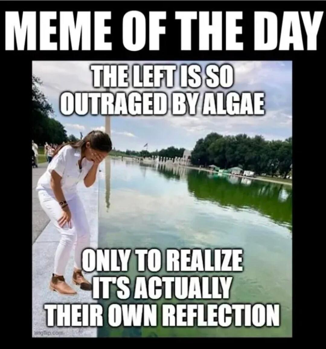 MEME OF THE DAY THE LEFT IS SO OUTRAGED BY ALGAE ONLY TO REALIZE IT'S ACTUALLY THEIR OWN REFLECTION