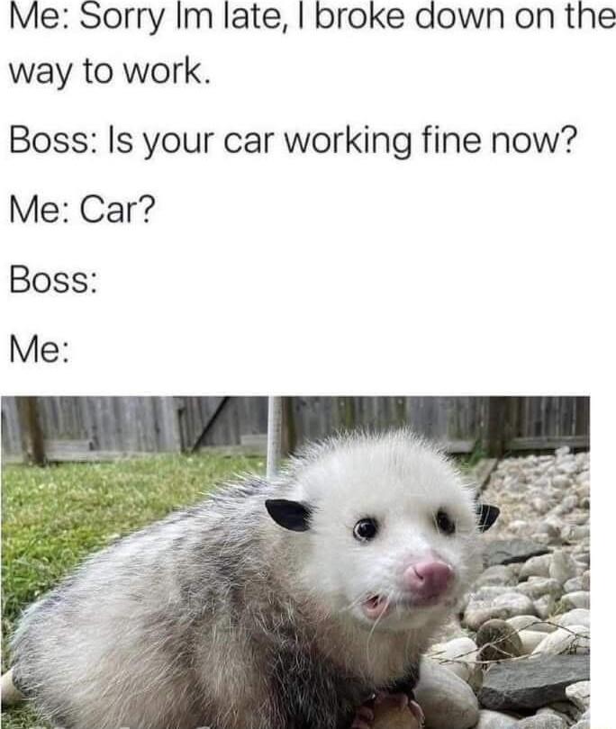 Me Sorry Im late broke down on the way to work Boss Is your car working fine now Me Car Boss