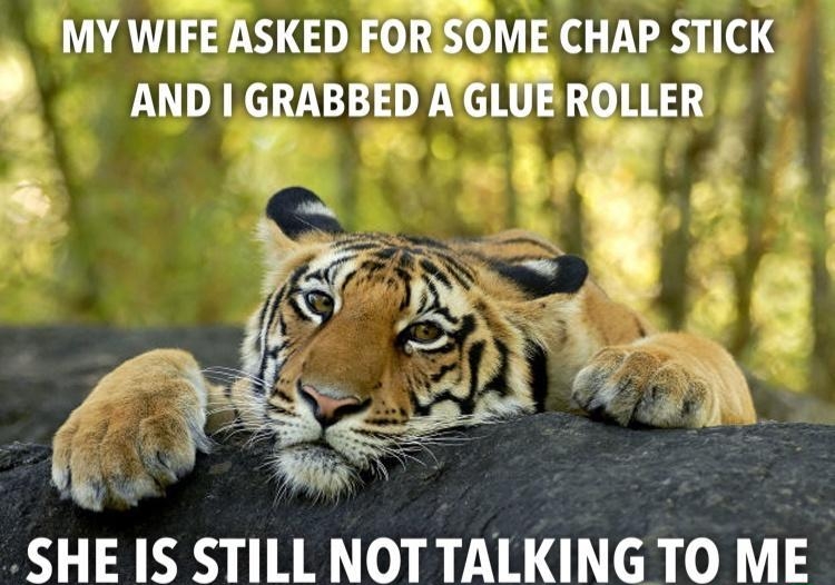 MY WIFEASKED FORISOME CHAP STICK AND GRABBED AGLUE ROLLER 7 o SHE IS STILL NOT TALKING TO M