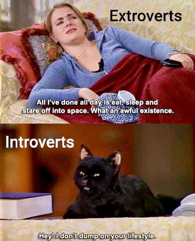 Introverts S