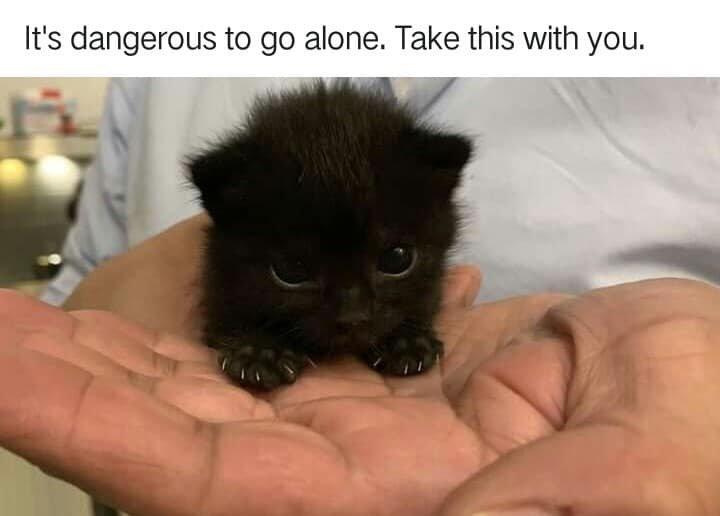 Its dangerous to go alone Take this with you