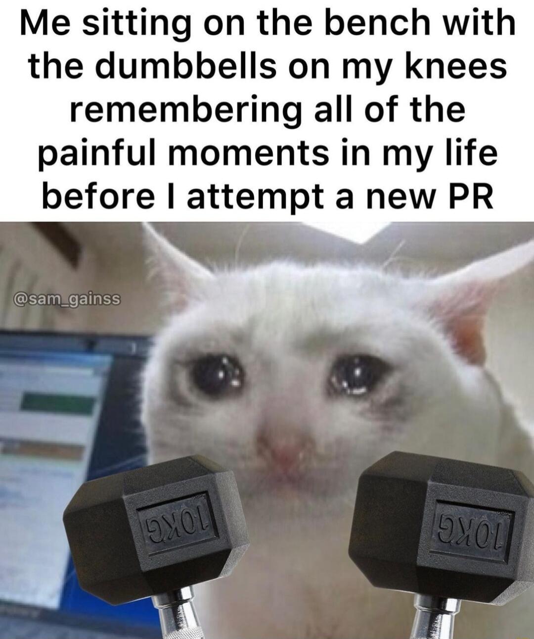 Me sitting on the bench with the dumbbells on my knees remembering all of the painful moments in my life before attempt a new PR v 4