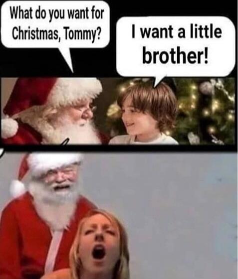 What do you want for Christmas, Tommy?\nI want a little brother!