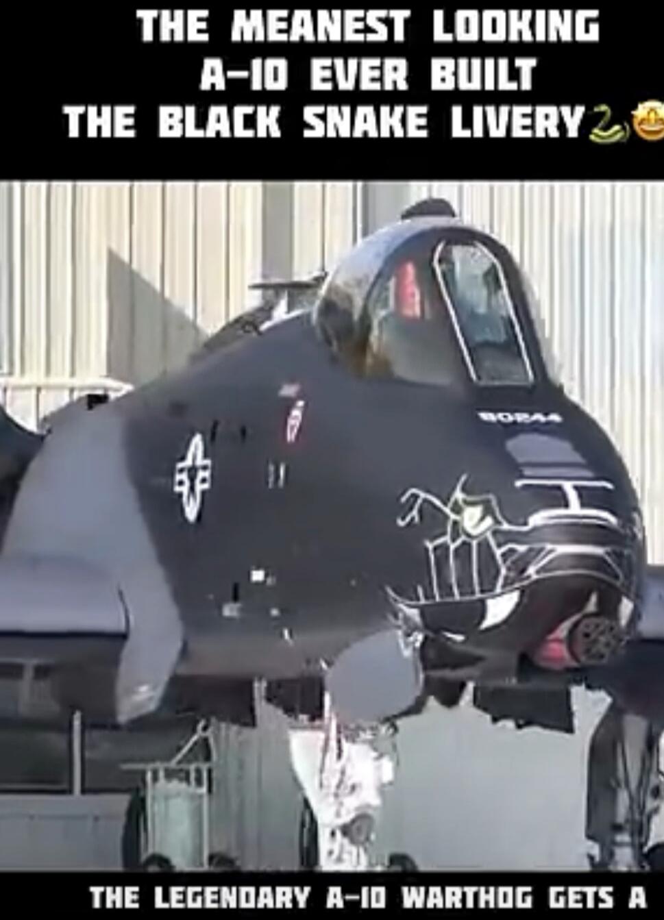 THE MEANEST LOOKING A-10 EVER BUILT THE BLACK SNAKE LIVERY THE LEGENDARY A-10 WARTHOG GETS A