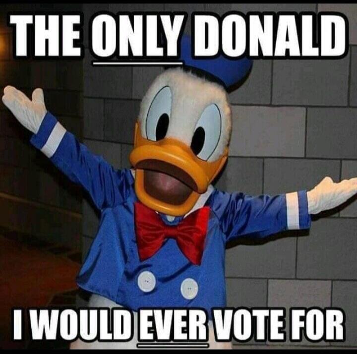 THE ONLY DONALD I WOULD EVER VOTE FOR