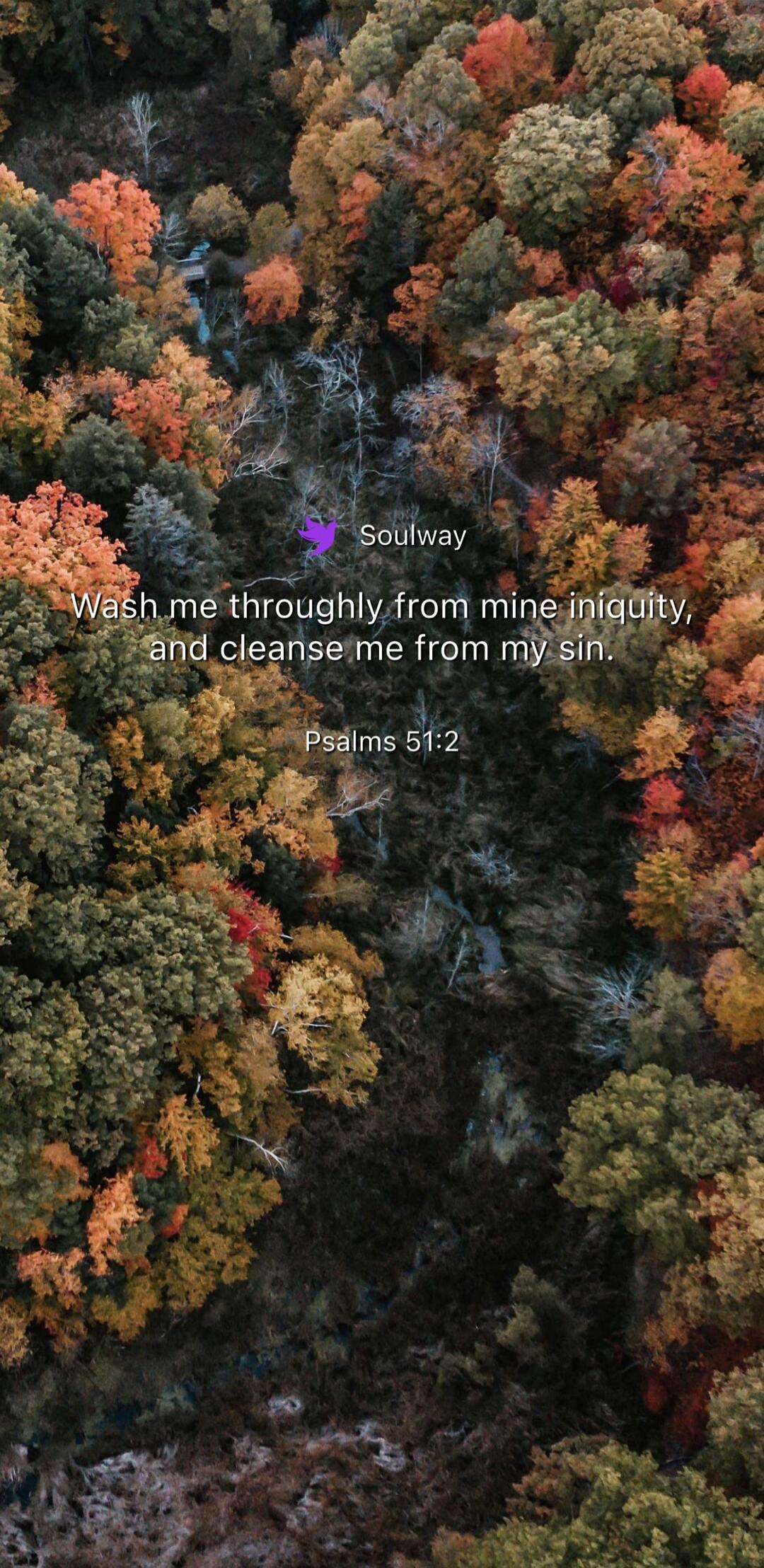 Soulway Wash me throughly from mine iniquity, and cleanse me from my sin. Psalms 51:2
