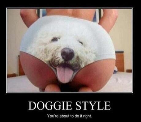 DOGGIE STYLE You're about to do it right.