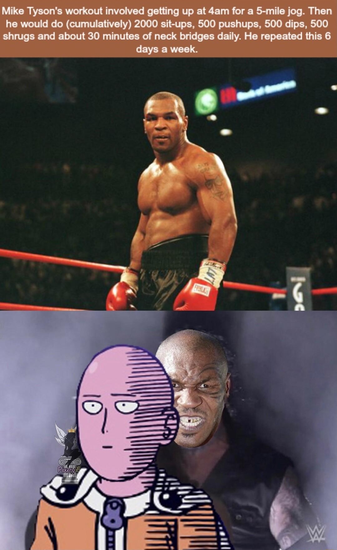 Mike Tysons workout involved getting up at 4am for a 5 mile jog Then he would do cumulatively 2000 sit ups 500 pushups 500 dips 500 shrugs and about 30 minutes of neck bridges daily He repeated this 6 a