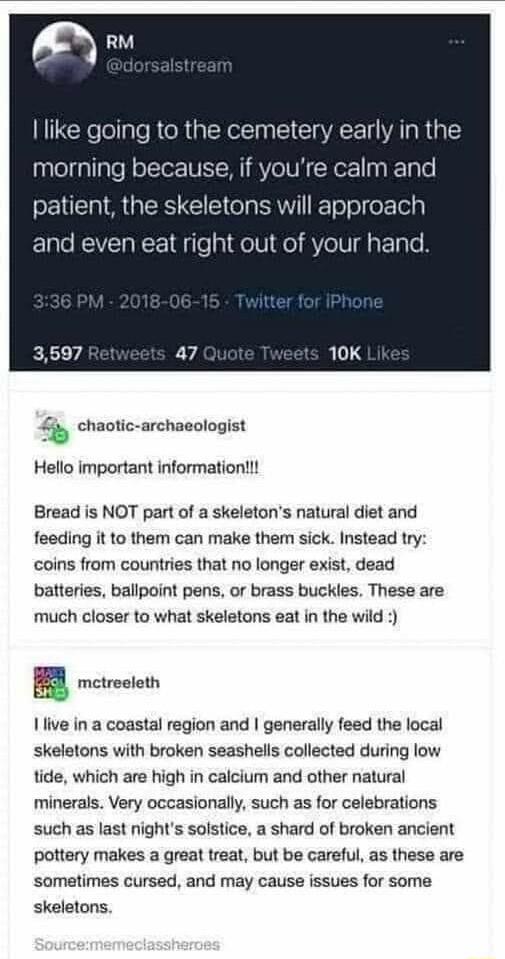o the cemetery orning because if youre calm and atient the skeletons will approach and even eat right out of your hand chaotic archaeologist Hello important informationt Bread is NOT part of a skeletons natural diet and feeding it to them can make them sick Instead try coins from countries that no longer exist dead batteries ballpoint pens or brass buckles These are much closer to what skeletons e
