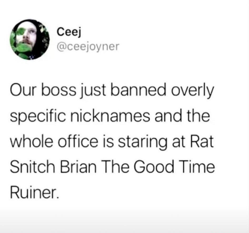 Our boss just banned overly specific nicknames and the whole office is staring at Rat Snitch Brian The Good Time Ruiner.