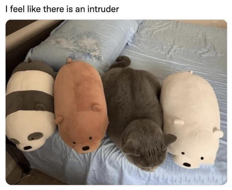 feel like there is an intruder