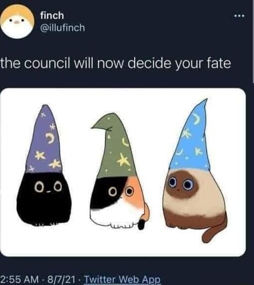finch llufinch the council will now decide your fate