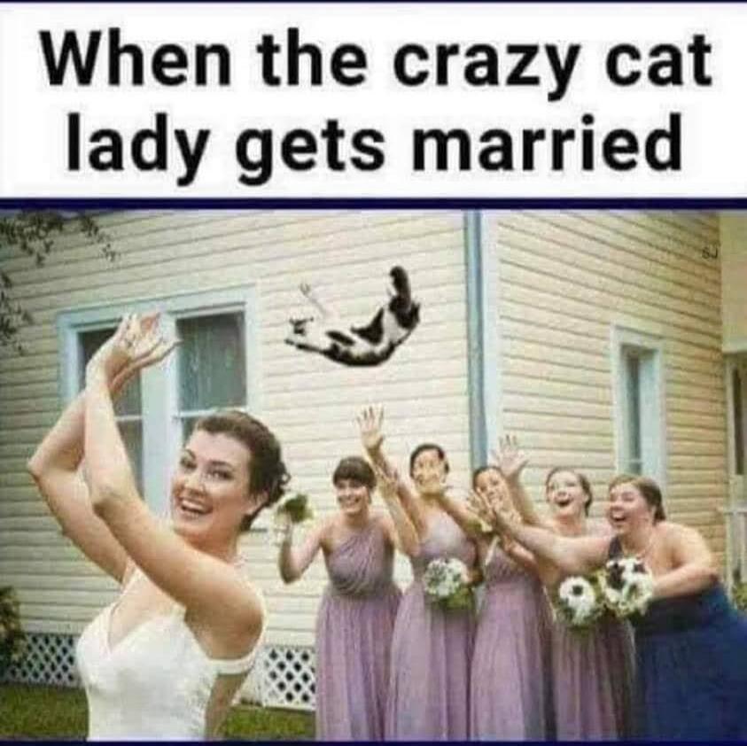 When the crazy cat lady gets married