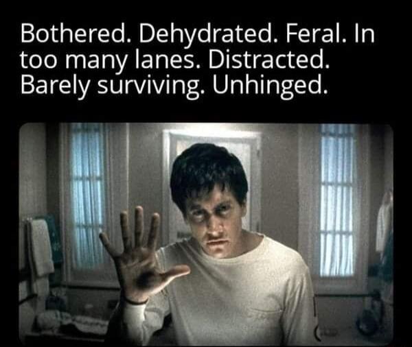Bothered Dehydrated Feral In too many lanes Distracted Barely surviving Unhinged