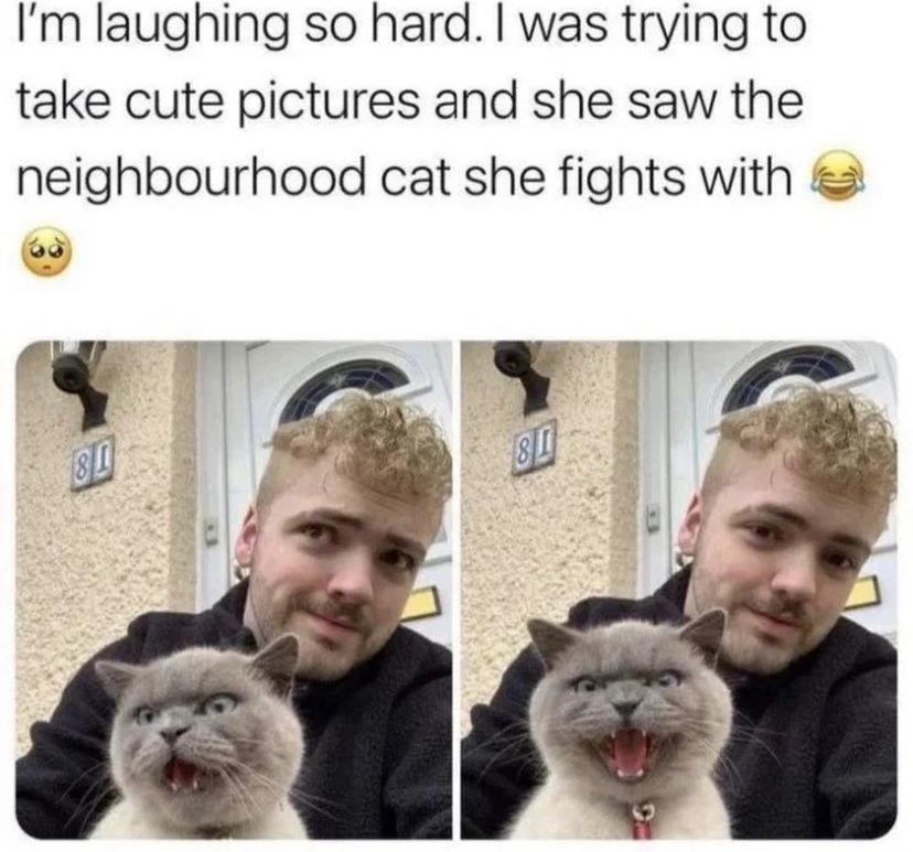 Im laughing so hard was trying to take cute pictures and she saw the neighbourhood cat she fights with