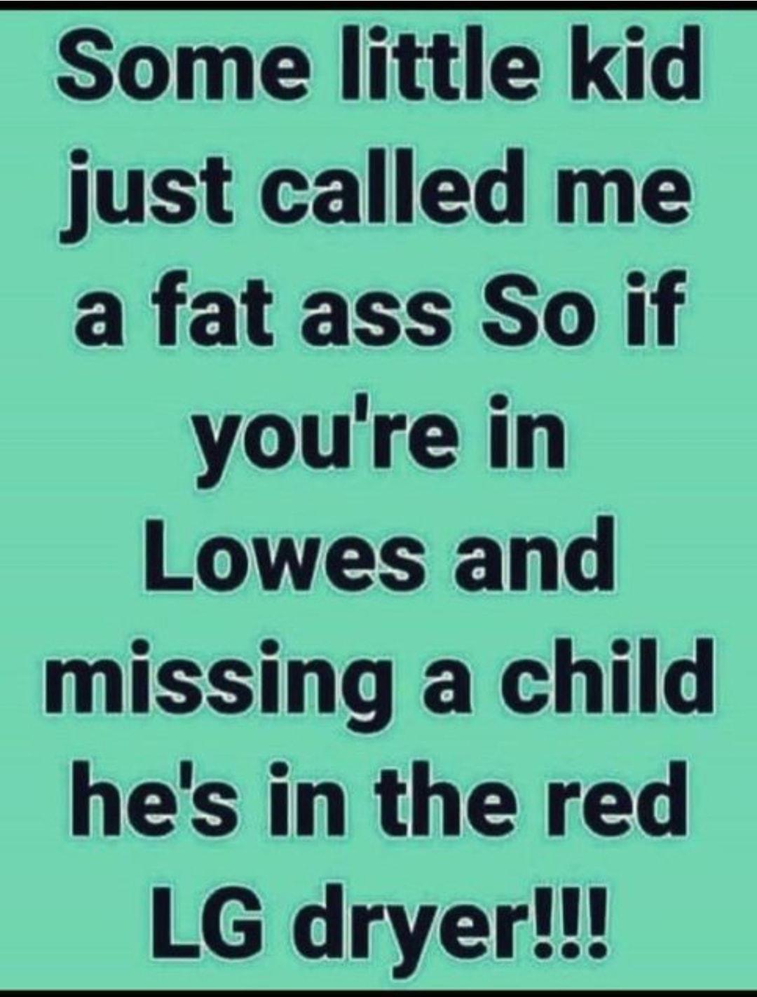 Some little kid just called me a fat ass So if youre in Lowes and missing a child hes in the red LG dryer