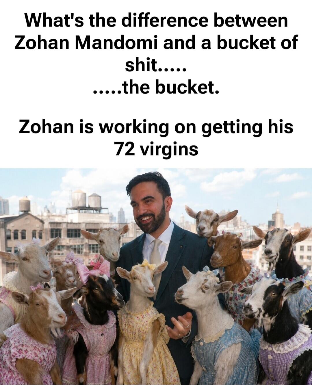 What's the difference between Zohan Mandomi and a bucket of shit..... .....the bucket. Zohan is working on getting his 72 virgins