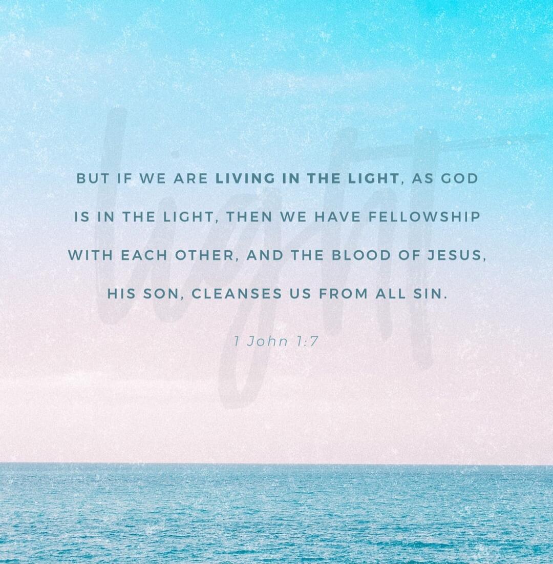 BUT IF WE ARE LIVING IN THE LIGHT, AS GOD IS IN THE LIGHT, THEN WE HAVE FELLOWSHIP WITH EACH OTHER, AND THE BLOOD OF JESUS, HIS SON, CLEANSES US FROM ALL SIN. 1 John 1:7