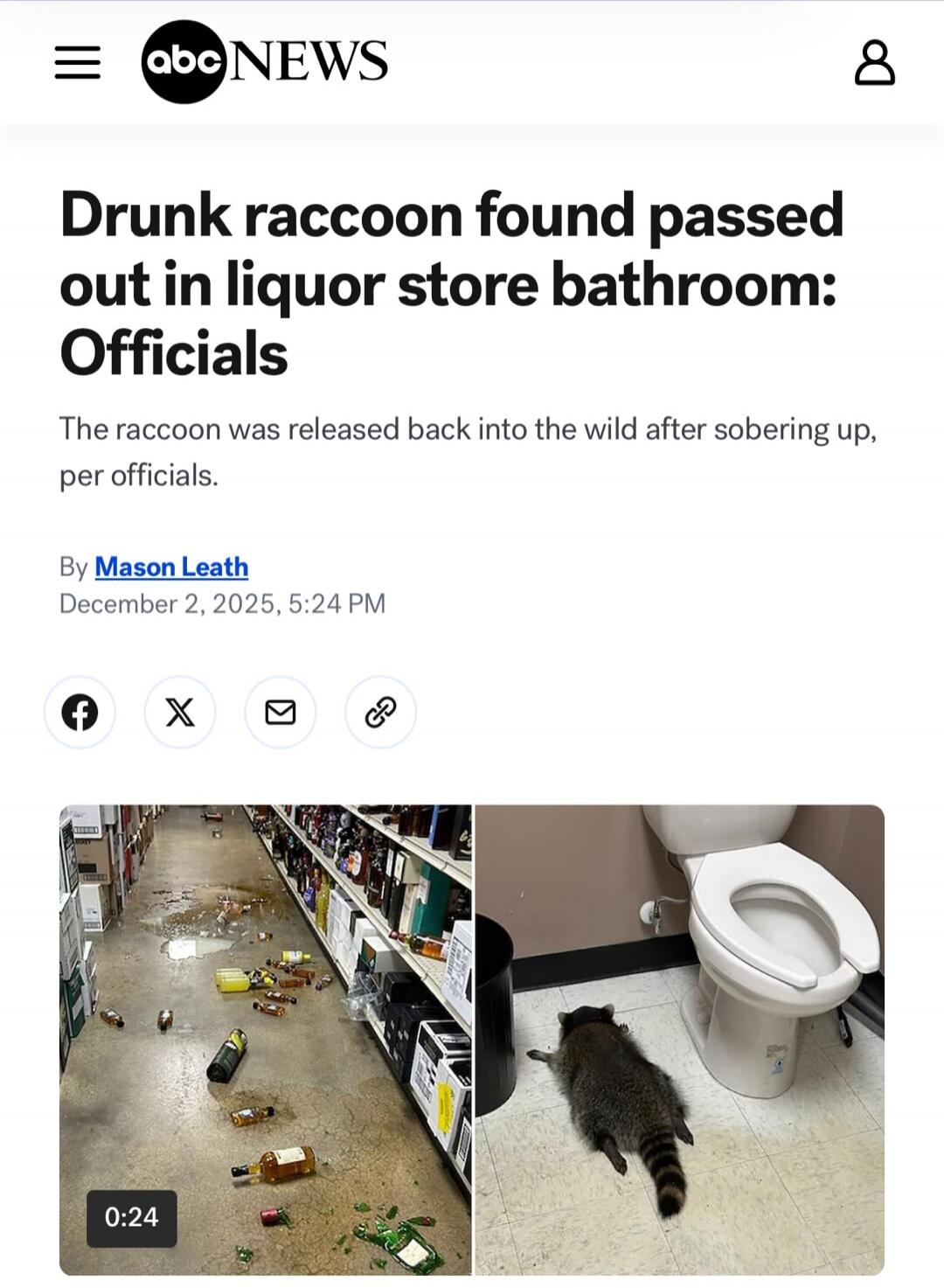 Drunk raccoon found passed out in liquor store bathroom: Officials The raccoon was released back into the wild after sobering up, per officials.