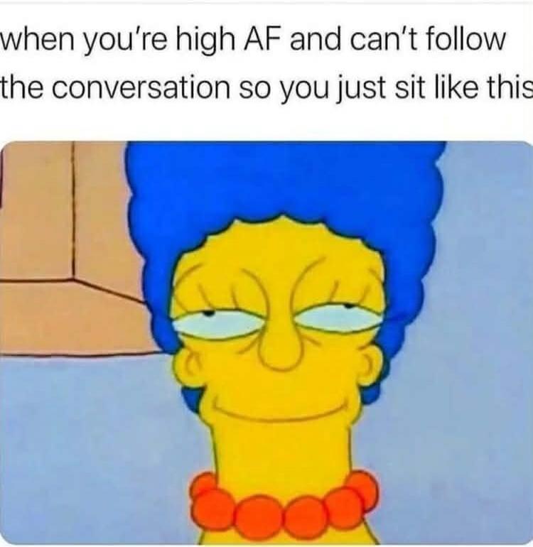when you're high AF and can't follow the conversation so you just sit like this