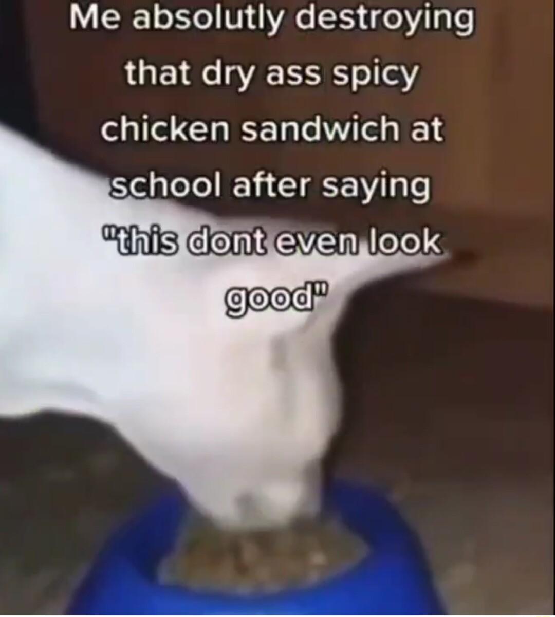 W 1o 1ol V VAo 15 o y o that dry ass spicy chicken sandwich at Sela el MY CLEEI Te