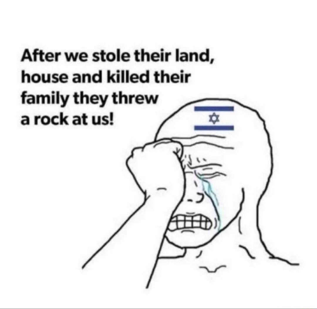 After we stole their land, house and killed their family they threw a rock at us!