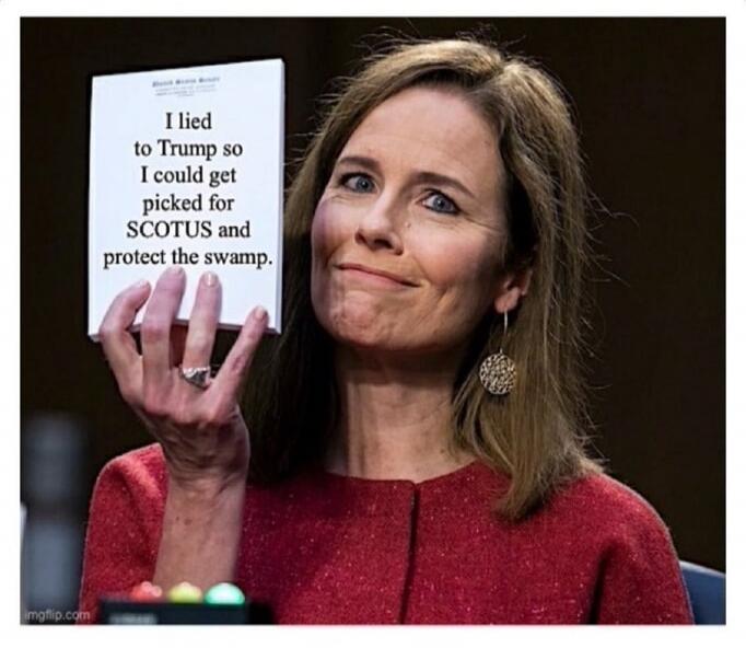 I lied to Trump so I could get picked for SCOTUS and protect the swamp.