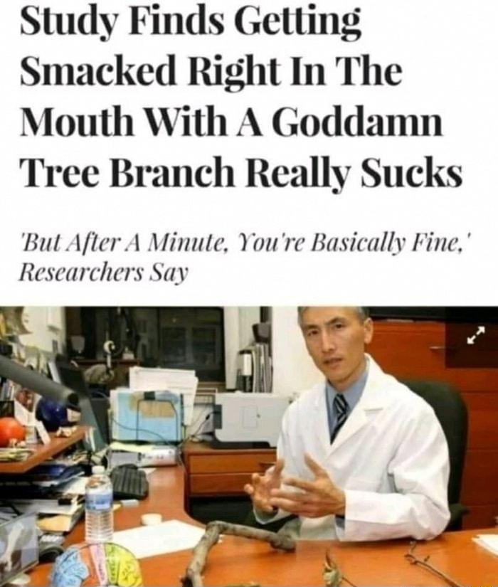 Study Finds Geltting Smacked Right In The Mouth With A Goddamn Tree Branch Really Sucks