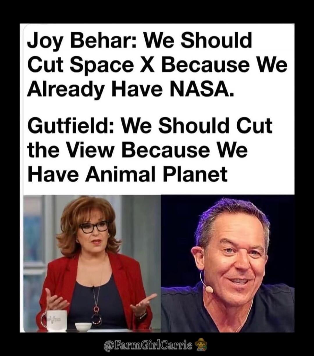Joy Behar: We Should Cut Space X Because We Already Have NASA. Gutfeld: We Should Cut the View Because We Have Animal Planet. @FarmGirlCarrie