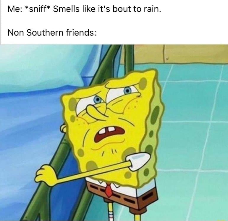 Me sniff Smells like its bout to rain Non Southern friends