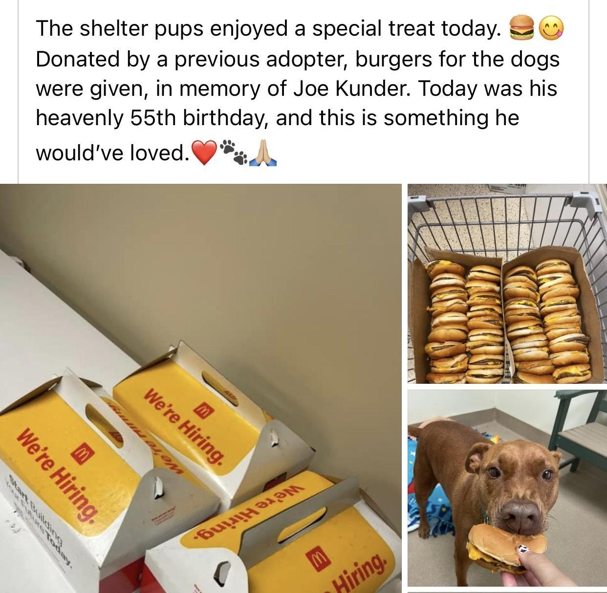 Humane Society of Lebanon County Sep22 Q The shelter pups enjoyed a special treat today Donated by a previous adopter burgers for the dogs were given in memory of Joe Kunder Today was his heavenly 55th birthday and this is something he wouldve loved 9