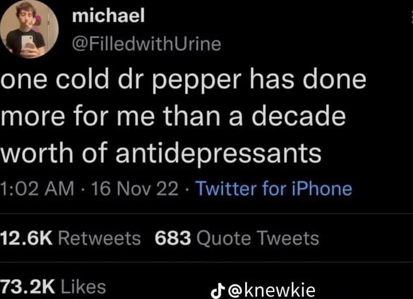 michael S FilledwithUrine oJgI NeTeo e o To o I TR s ET Ro og 1 more for me than a decade worth of antidepressants 102 AM 16 Nov 22 Twitter for iPhone PR QRIS X J OT CR I 732K Likes Jknewkie