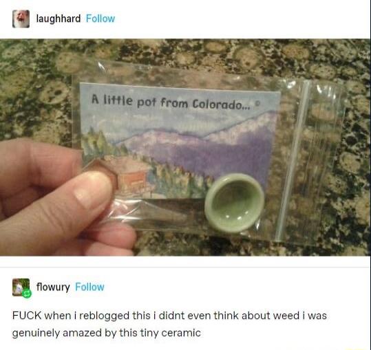 u flowury FUCK when i reblogged this didnt even think about weed was genuinely amazed by this tiny ceramic