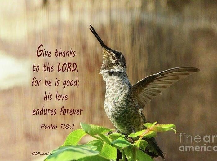 Give thanks to the LORD, for he is good; his love endures forever Psalm 118:1