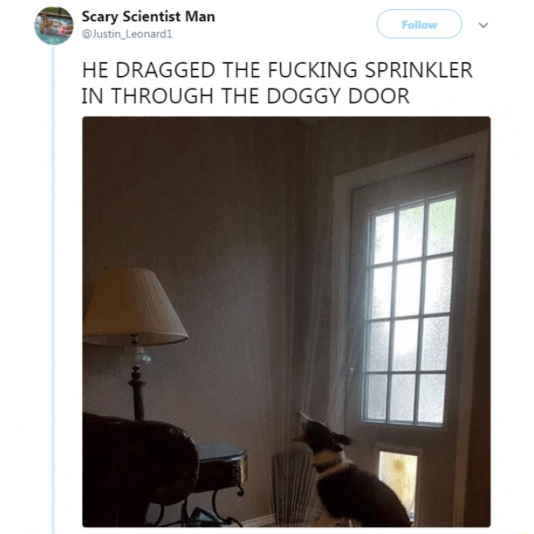 e Scary Scientist Man HE DRAGGED THE FUCKING SPRINKLER IN THROUGH THE DOGGY DOOR