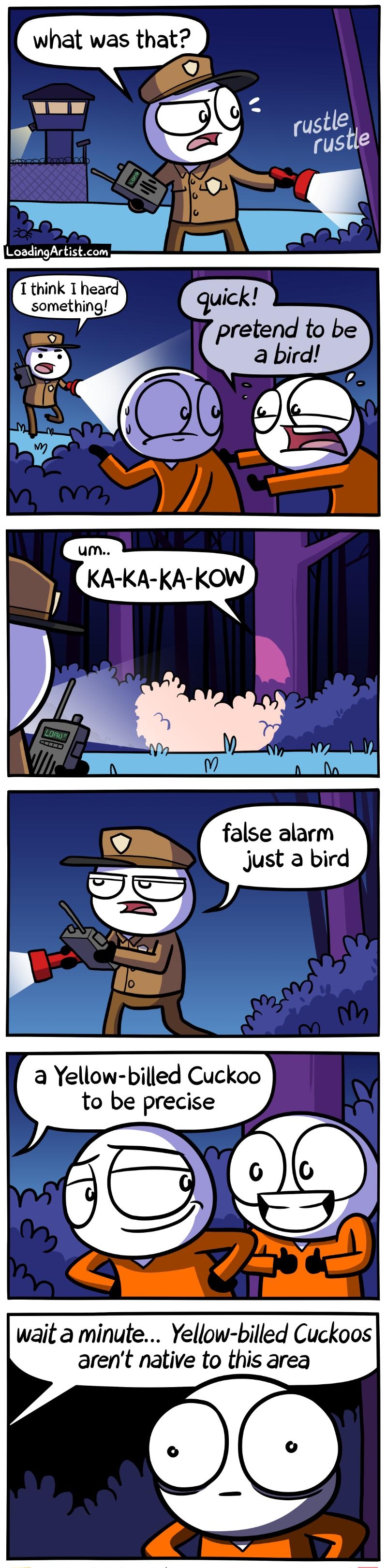 what was that pretend to be a bird false alarm Just a bird a Yellow bued Cuckoo to be precise wait a minute Yellow billed Cuckoos arent native to this area LoadingArtistcom Bonus panels on Patreon J