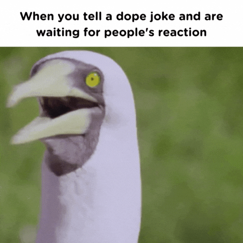 When you tell a dope joke and are waiting for peoples reaction