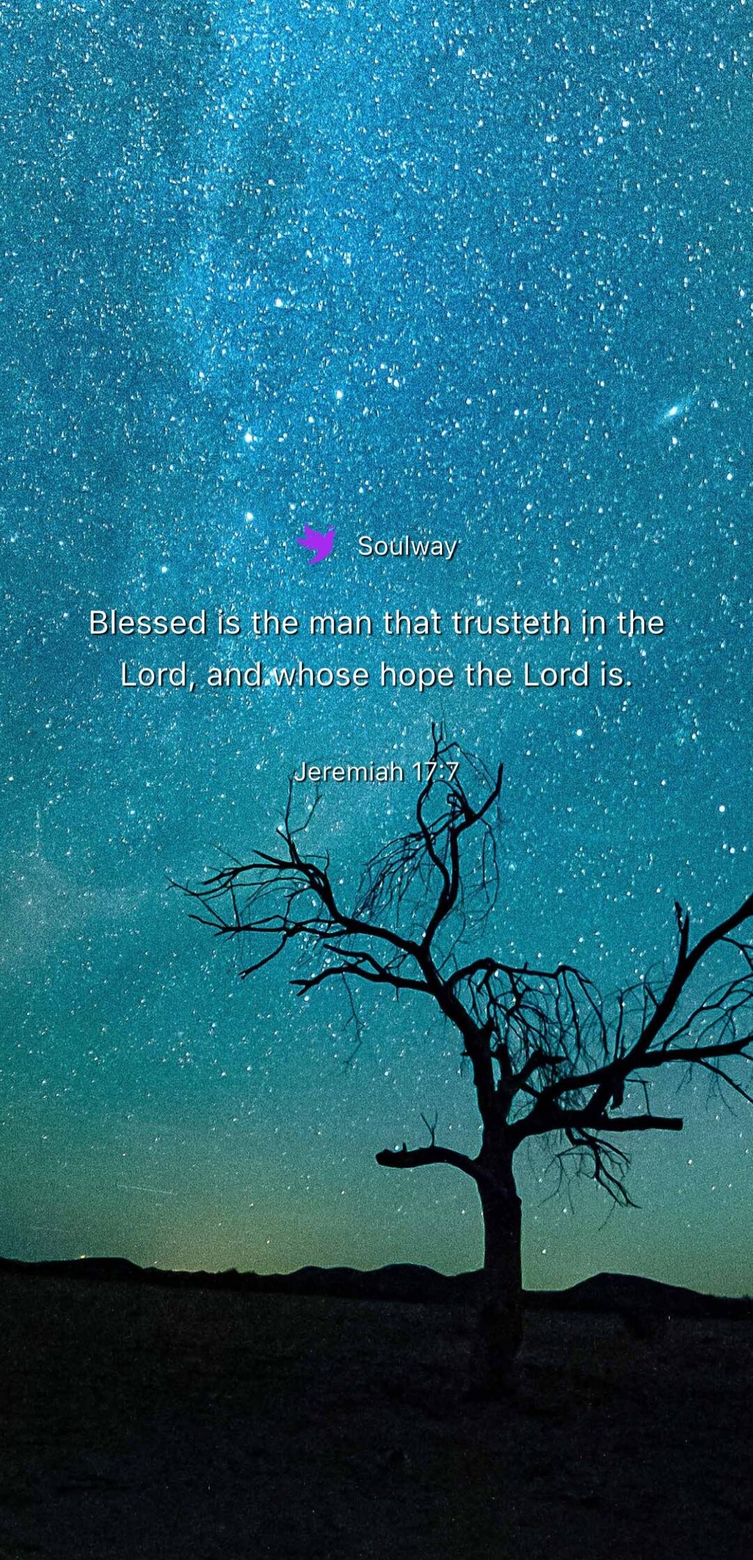 Soulway
Blessed is the man that trusteth in the Lord, and whose hope the Lord is.
Jeremiah 17:7