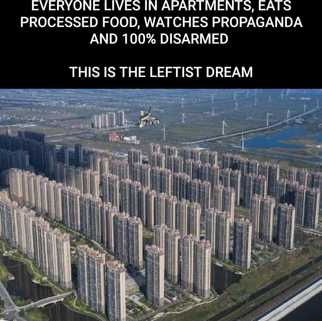 VERYONE LIV N APARTMEN PROCESSED FOOD WATCHES PROPAGANDA AND 100 DISARMED THIS IS THE LEFTIST DREAM