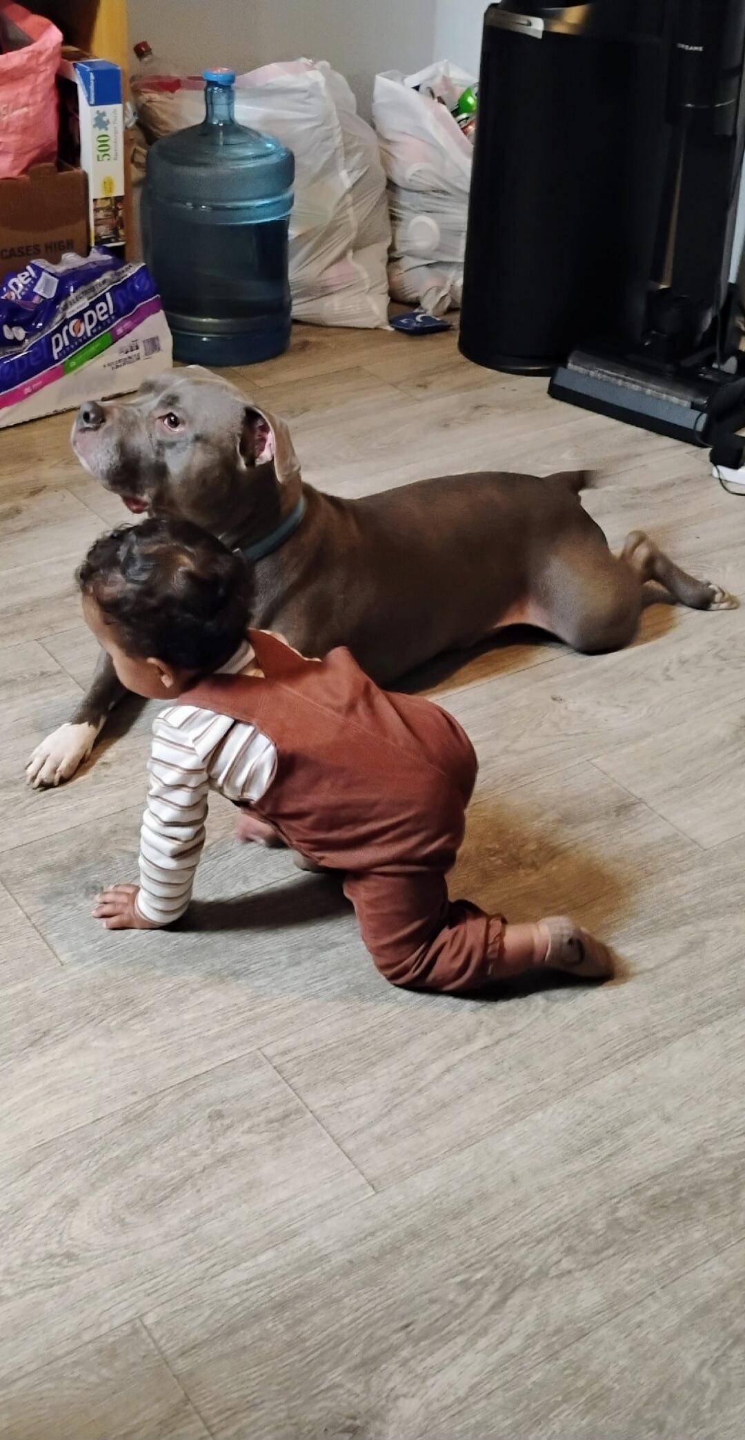 Session ID: 1026892.