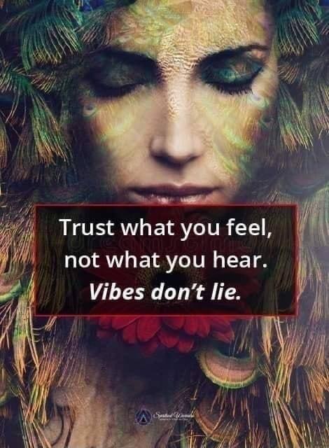S TET Trust what you feel not what you hear Vibes dont lie