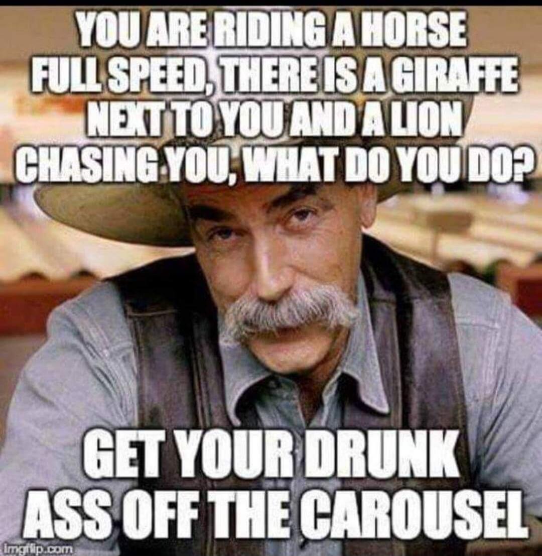 YOU ARE RIDING A HORSE FULL SPEED, THERE IS A GIRAFFE NEXT TO YOU AND A LION CHASING YOU, WHAT DO YOU DO? GET YOUR DRUNK ASS OFF THE CAROUSEL