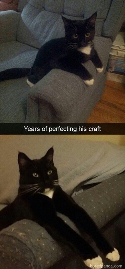 Years of perfecting his craft