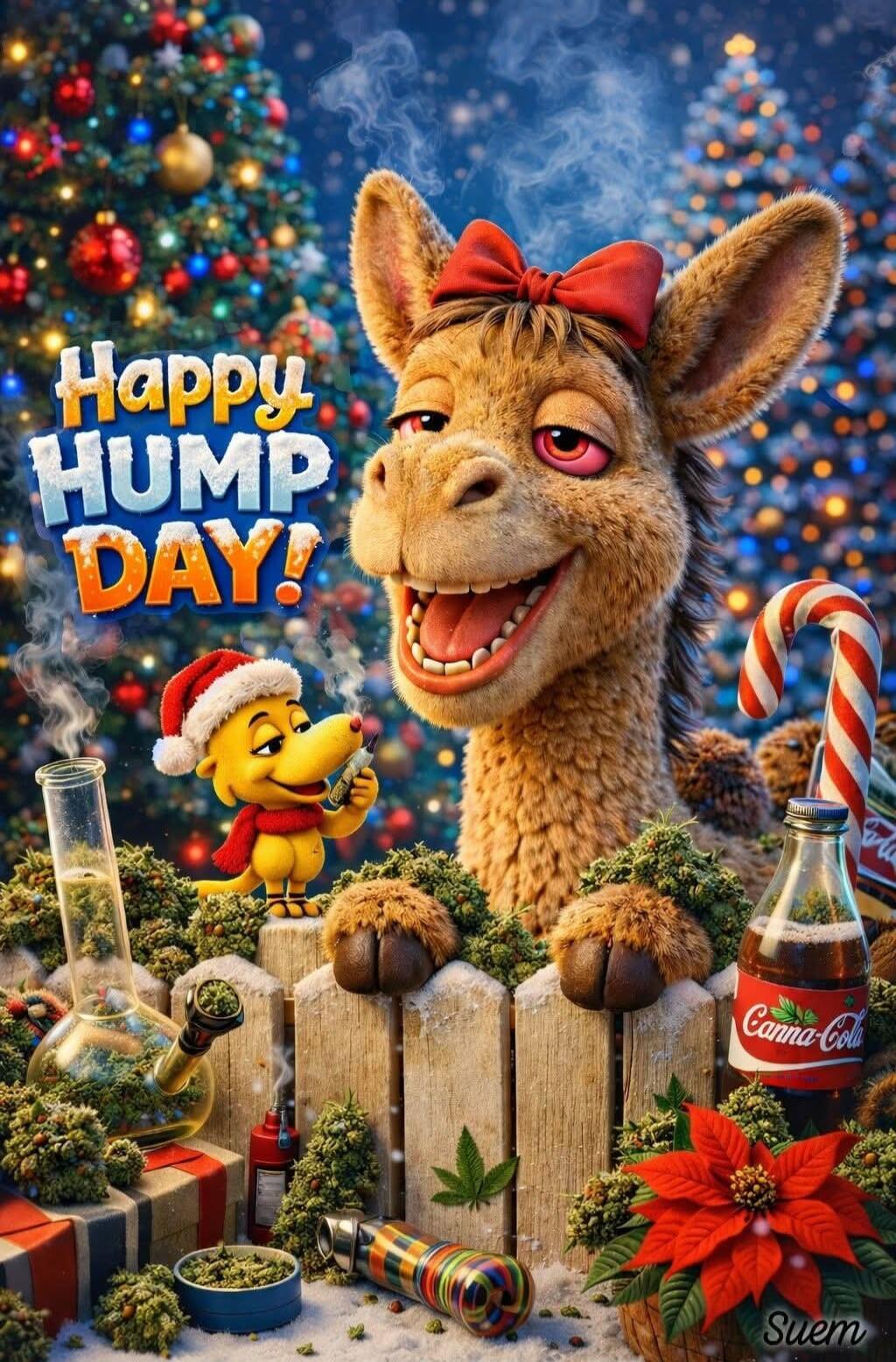 Happy Hump Day! Suem