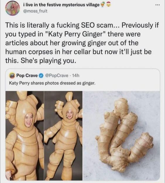 V ilive in the festive mysterious village moss_fruit This is literally a fucking SEO scam Previously if you typed in Katy Perry Ginger there were articles about her growing ginger out of the human corpses in her cellar but now itll just be this Shes playing you Pop Crave PopCrave 14h Katy Perry shares photos dressed as ginger