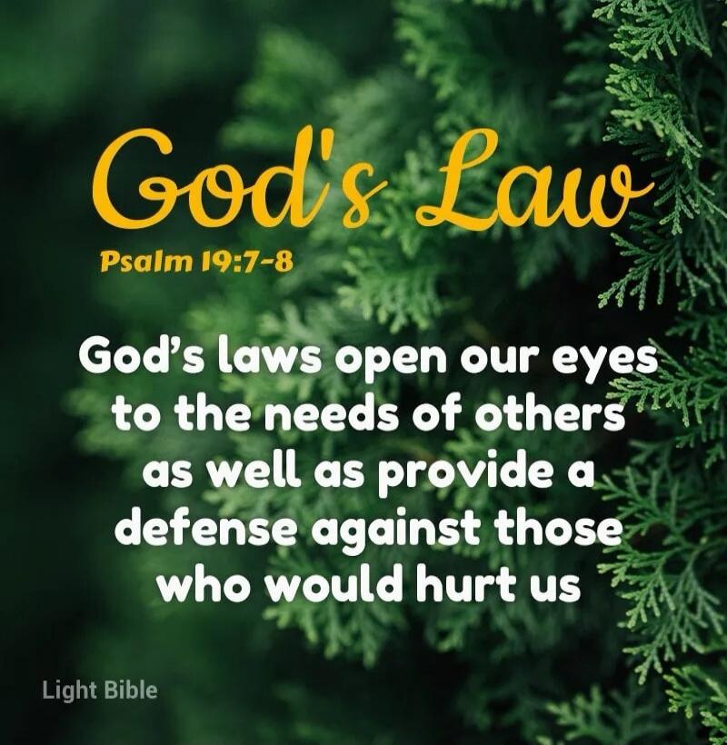 God's Law Psalm 19:7-8 God's laws open our eyes to the needs of others as well as provide a defense against those who would hurt us Light Bible