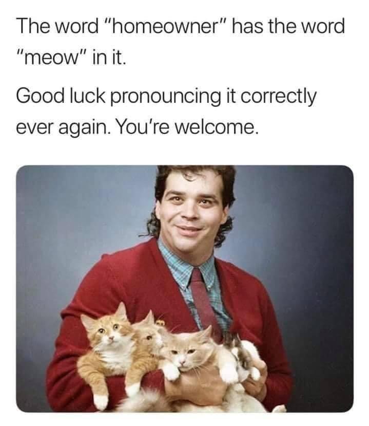 The word homeowner has the word meow init Good luck pronouncing it correctly ever again Youre welcome