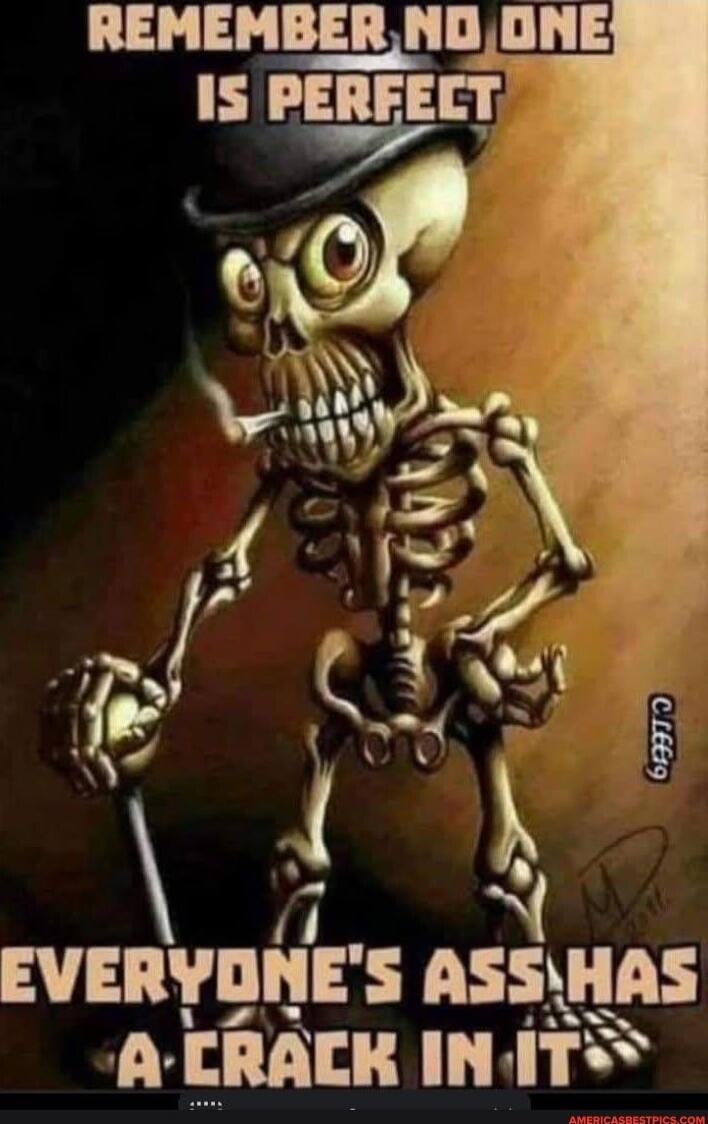 REMEMBER NO ONE IS PERFECT EVERYONE'S ASS HAS A CRACK IN IT